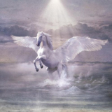 Cosmo - Sulle ali del cavallo bianco '2024