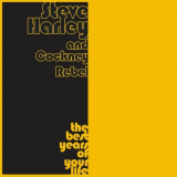 Steve Harley - The Best Years of Your Life '2006