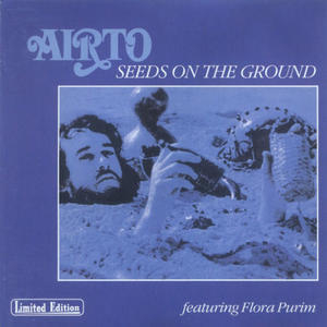Seeds On The Ground