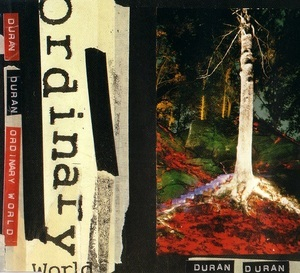 Ordinary World