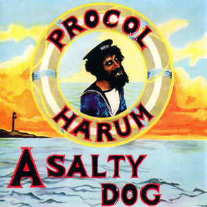 A Salty Dog (Live in the USA, Easter)