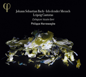 Bach - Ich Elender Mensch - Cantatas From The First Leipzig Cycle