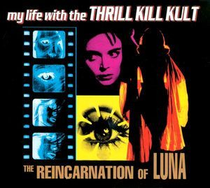 The Reincarnation Of Luna