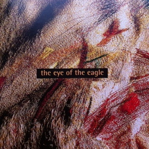 The Eye Of The Eagle