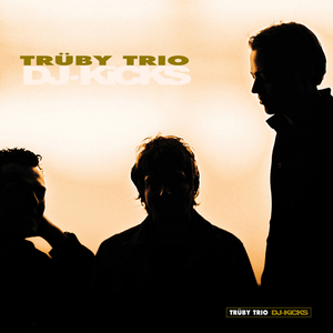 Dj Kicks: Trüby Trio