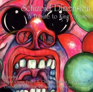 Schizoid Dimension: A Tribute To King Crimson