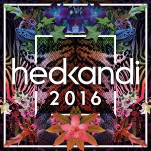 Hed Kandi 2016