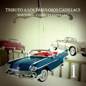 Tributo A Los Fabulosos Cadillacs: Vos Sabes Como Te Esperaba!