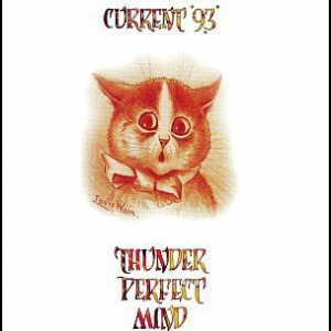 Thunder Perfect Mind