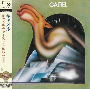 Camel