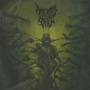 Passages Into Deformity