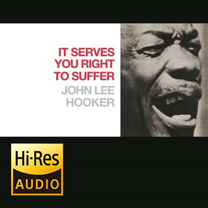 It Serves You Right To Suffer (2013) [Hi-Res stereo] 24bit 96kHz
