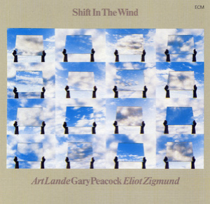 Shift In The Wind