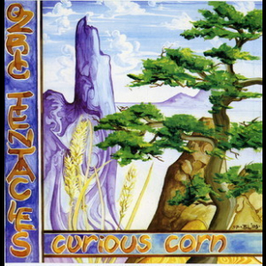 Curious Corn