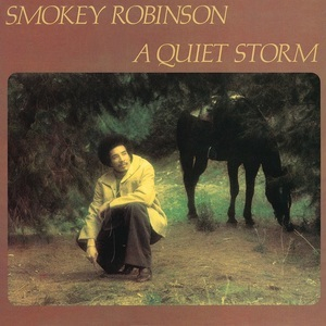 A Quiet Storm