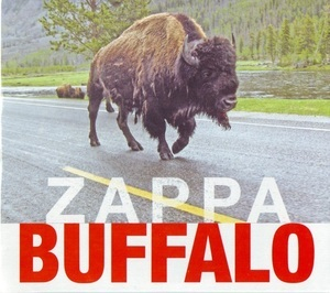 Buffalo