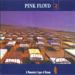 A Momentary Lapse Of Reason