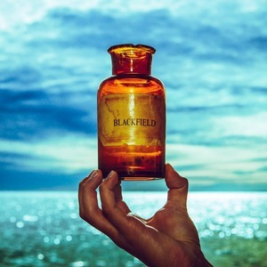 Blackfield V