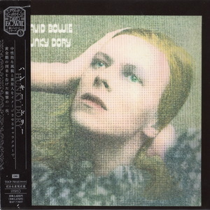 Hunky Dory