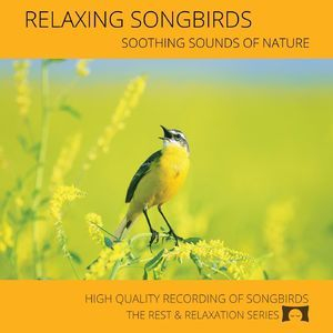 Relaxing Songbirds: Soothing Sounds Of Nature