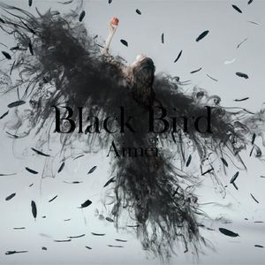 Black Bird _ Tiny Dancers _Omoideha Kireide