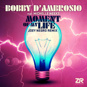 Moment Of My Life (Joey Negro Remixes)