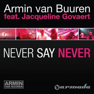 Never Say Never (Feat. Jacqueline Govaert)