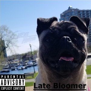 Late Bloomer