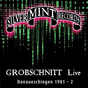 Live Donaueschingen 1981 - 2