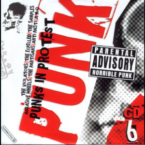 Punk Original Masters [10 CD BoxSet] (CD06) - Punks In Protest