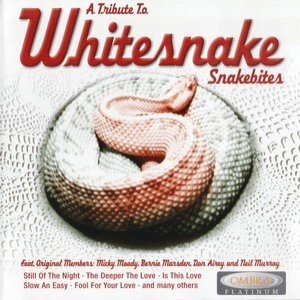 Snakebites - A Tribute To Whitesnake