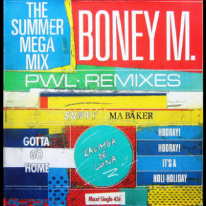 The Summer Mega Mix (PWL Remixes)