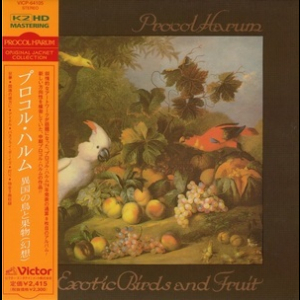 Exotic Birds And Fruit