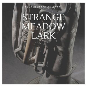 Strange Meadow Lark