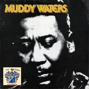 Muddy Waters 1