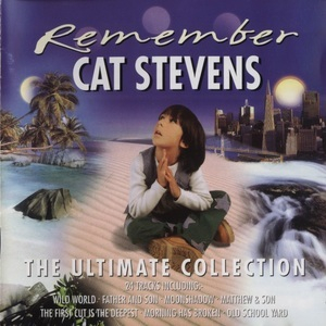Remember (The Ultimate Collection)