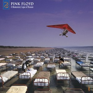 A Momentary Lapse Of Reason