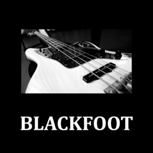 Blackfoot - King Biscuit Flower Hour FM Broadcast The Palladium Los Angeles CA 10th August 1983.