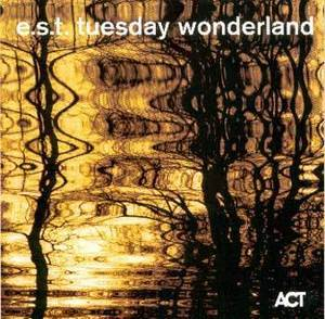 Tuesday Wonderland