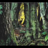 David Sylvian - Manafon (DigiPack Edition) '2009