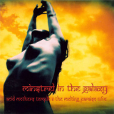 Acid Mothers Temple And The Melting Paraiso U.F.O. - Minstrel In The Galaxy '2004