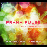 Shamans Dream - Prana Pulse '2013