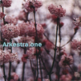 Arkestra One - Skydiving '2002