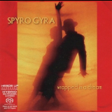 Spyro Gyra - Wrapped In A Dream '2006