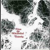 The Strawbs - From The Witchwood '1971