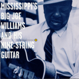 Big Joe Williams - Mississippi's Big Joe Williams And His Nine-string Guitar '1995