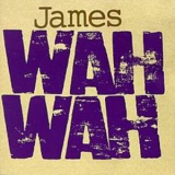 James - Wah Wah '1994