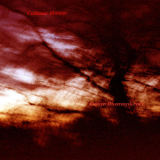 Colour Haze - Ewige Blumenkraft '2001