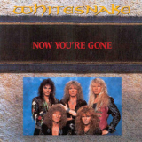 Whitesnake - Now You're Gone [CDS] '1990