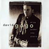 David Gogo - Dine Under The Stars '1999